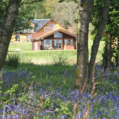 A chalet with bluebells in the foreground at Loch Lomond Waterfront