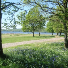 The woods and grounds at Loch Lomond Waterfront