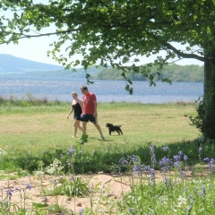 Guest walking their dog in the grounds at Loch Lomond Waterfront
