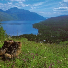 Walking boots with Loch Lomond in the background