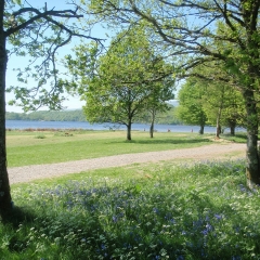 The grounds at Loch Lomond Waterfront
