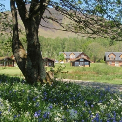 The chalets and lodges at Loch Lomond Waterfront