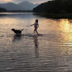 Dog and owner in water at Loch Lomond Waterfront