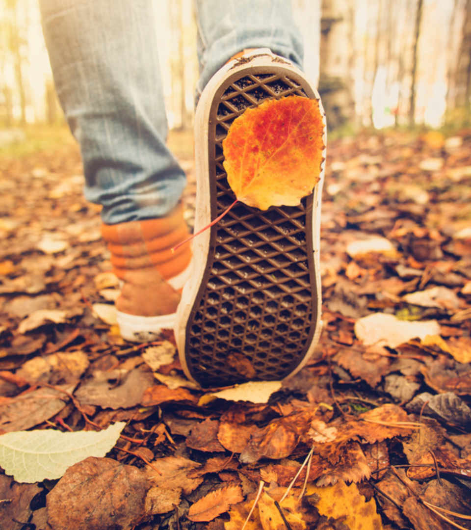 Autumn Leaf on shoe