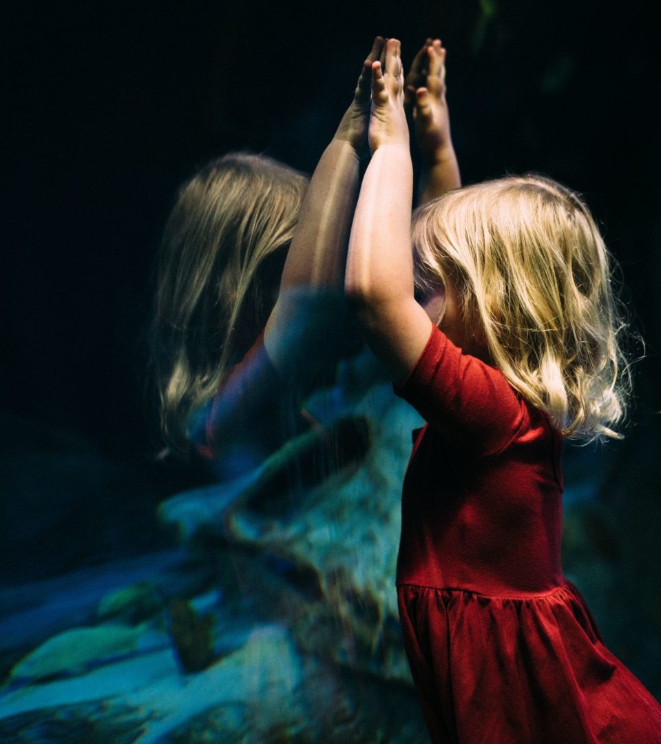 A little girl leaning into the glass watching fish at Loch Lomond Shores sea life centre