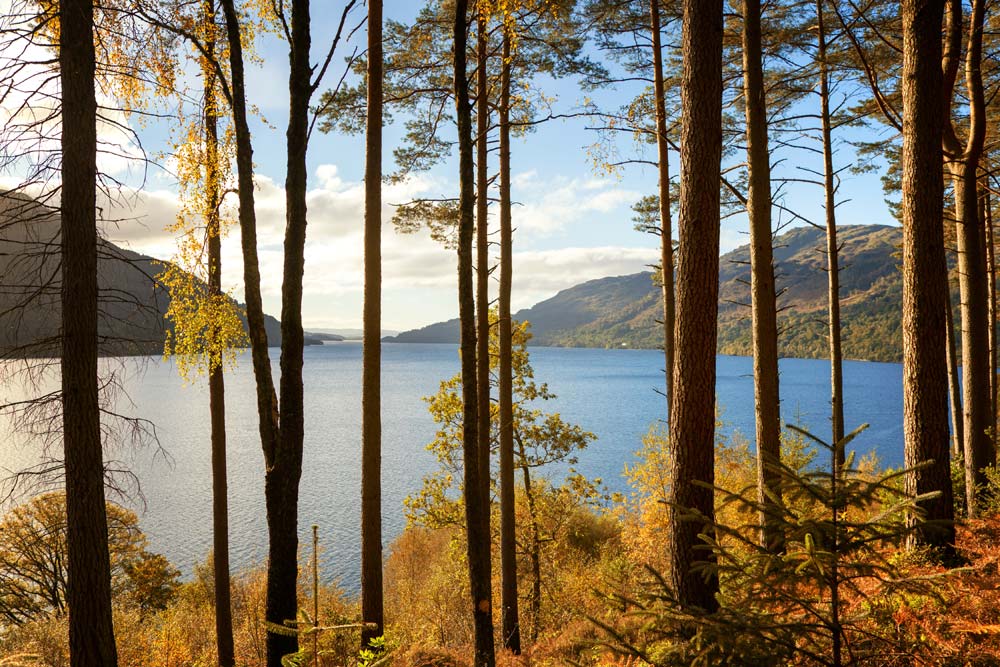 Banks of Loch Lomond in the autumn