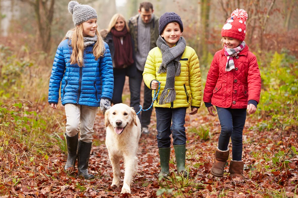 Family walking dog through forest in autumn