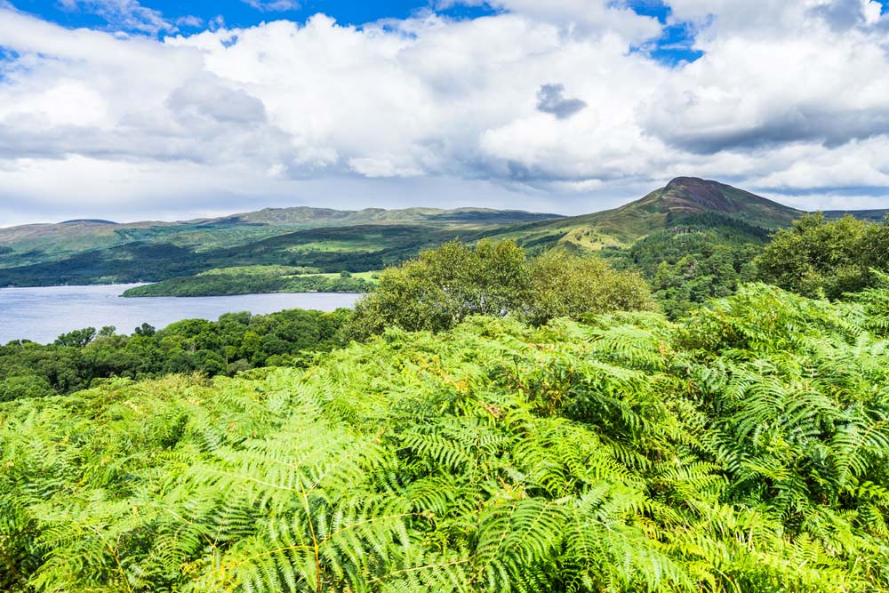 Loch Lomond panorama and Conic Hill seen from Inchcailloch Island