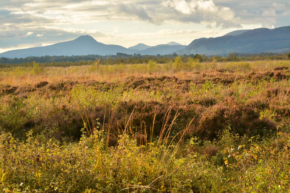 View towards Ben Lomond from Flanders Moss Nature Reserve