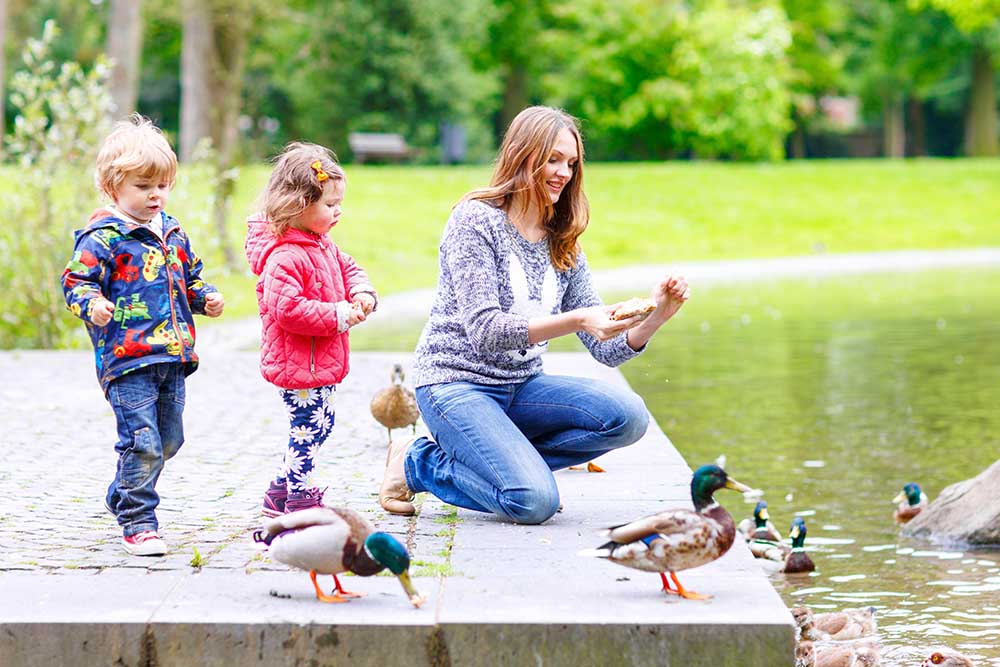 A mother feeding sucks with children