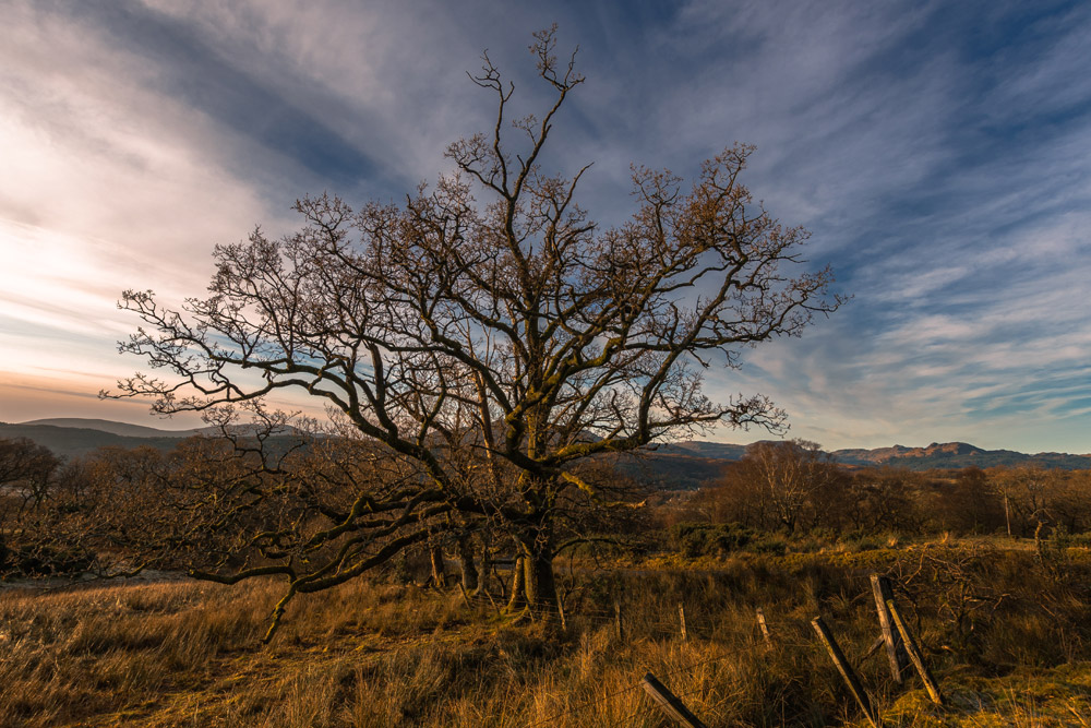 View of Glen Fruin, Helensburgh, Scotland