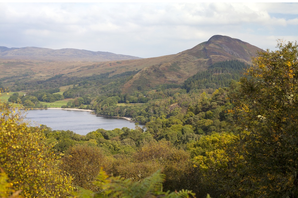 Inchcailloch island on Loch Lomond in Scotland