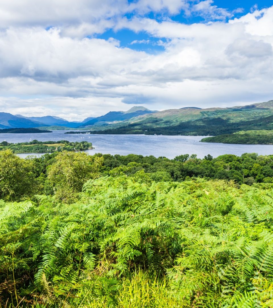 Loch Lomond panorama seen from the summit of Inchcailloch Island