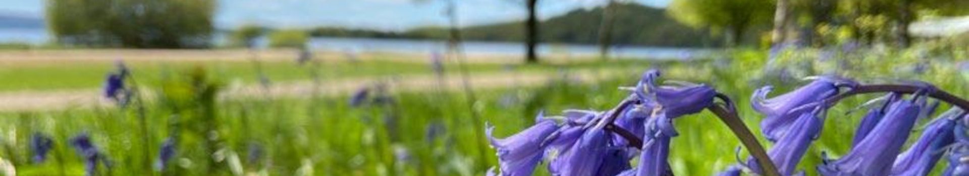 Loch Lomond in the spring