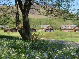 The chalets and lodges at Loch Lomond Waterfront