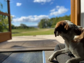 Dog-Friendly-Holidays-7 Dog-Friendly-Holidays-7