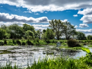 LLWF-Pond-e1596194789114