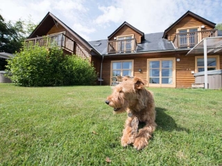 A dog on the lawn at Loch Lomond Waterfront
