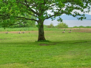 The banks of Loch Lomond at Loch Lomond Waterfront