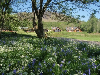 The lodges within the grounds at Loch Lomond Waterfront The lodges within the grounds at Loch Lomond Waterfront