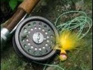 A fishing reel and fly