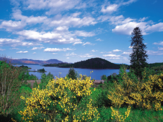 Spring views of Loch Lomond from Balamaha