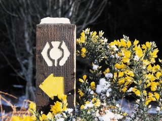 A West Highland way marker