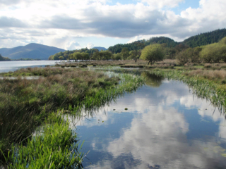 Waterside views from  Loch Lomond Waterfront