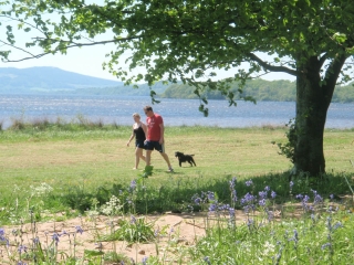 Guest walking their dog in the grounds at Loch Lomond Waterfront