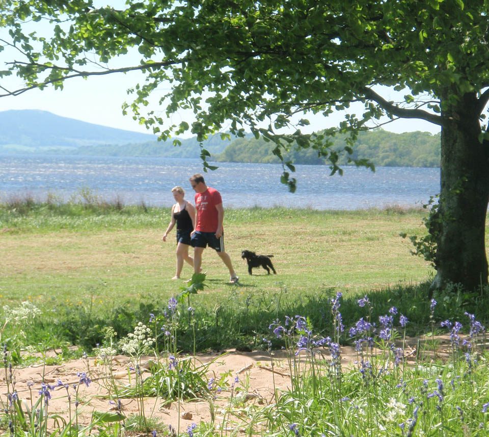 Guest walking their dog in the grounds at Loch Lomond Waterfront