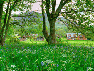 View of Loch Lomond Waterfront from woodland