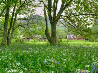 Lodges &amp; chalets with woodland in foreground at Loch Lomond Waterfront