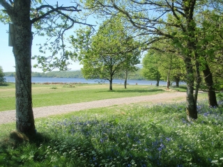 The grounds at Loch Lomond Waterfront The grounds at Loch Lomond Waterfront