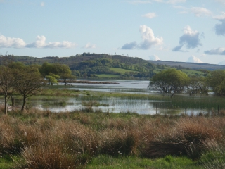 Water marshes at Loch Lomond Waterfront