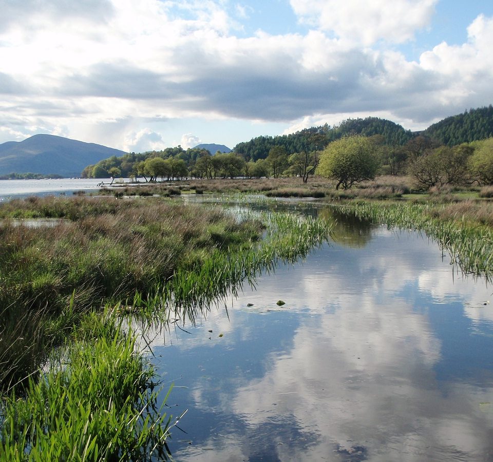 The waters edge at Loch Lomond Waterfront