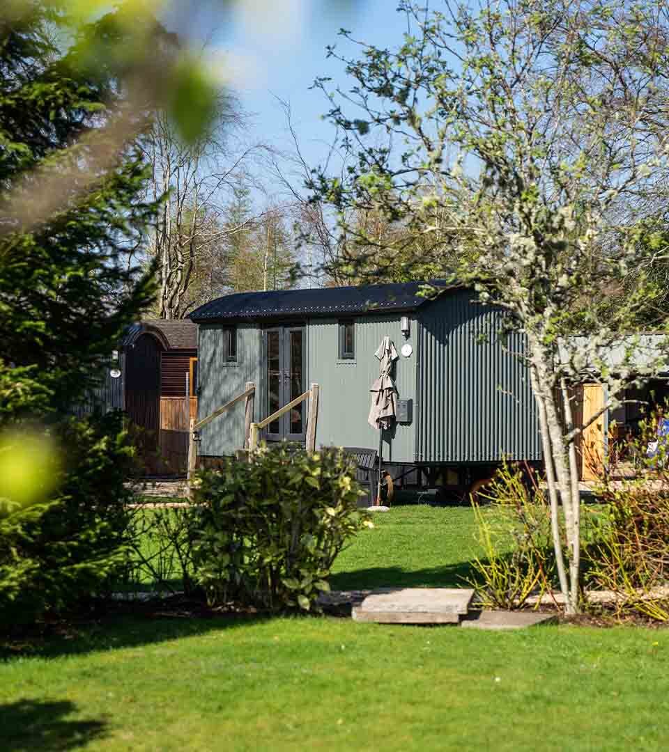 Shepherd's Hut by trees.