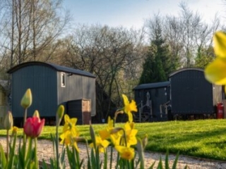 Three Shepherd&#039;s Huts at Loch Lomond Waterfront with daffodils and tulips in the foreground