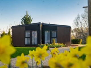 A Studio Lodge at Loch Lomond Waterfront during the day with daffodils in the foreground