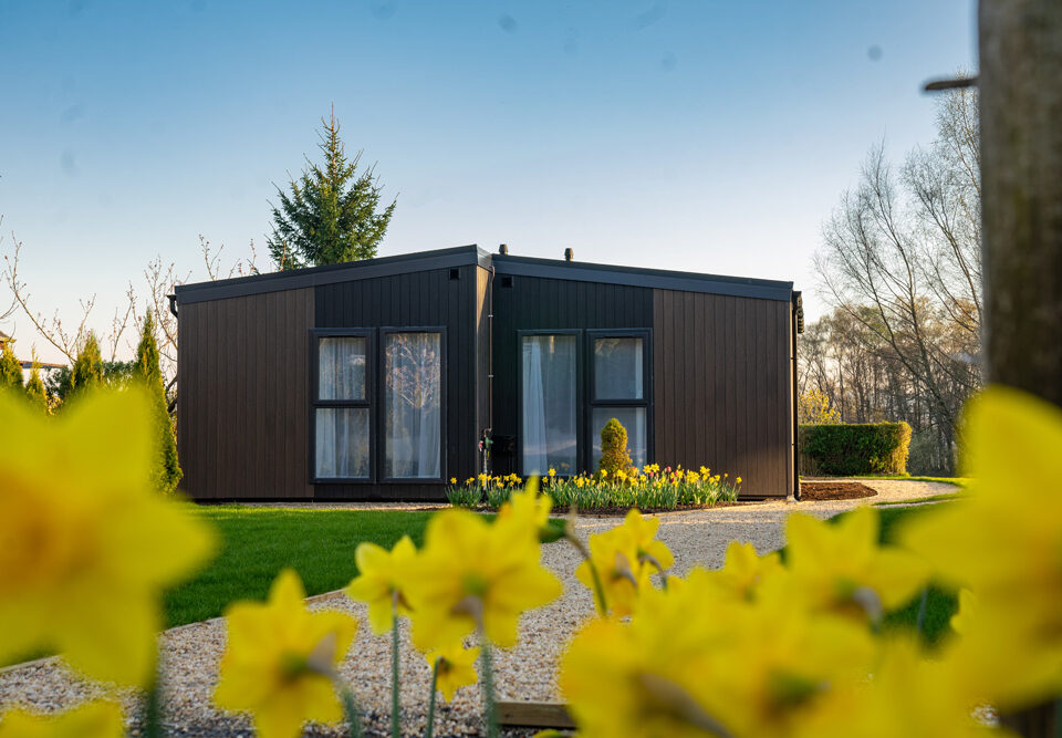 A Studio Lodge at Loch Lomond Waterfront during the day with daffodils in the foreground