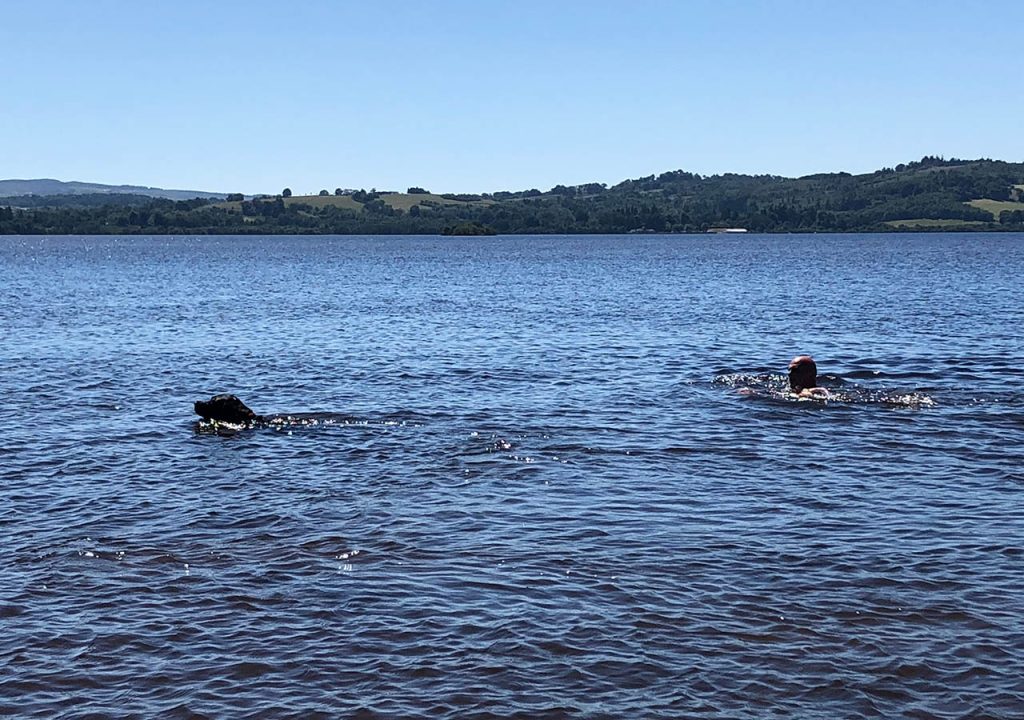 A person swimming in Loch Lomond with their dog from the beach at Loch Lomond Waterfront